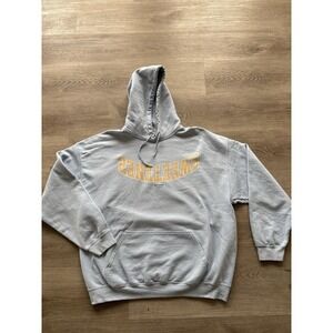 Ariana Grande x Nicopanda Blue Sweetener Hoodie Size XL